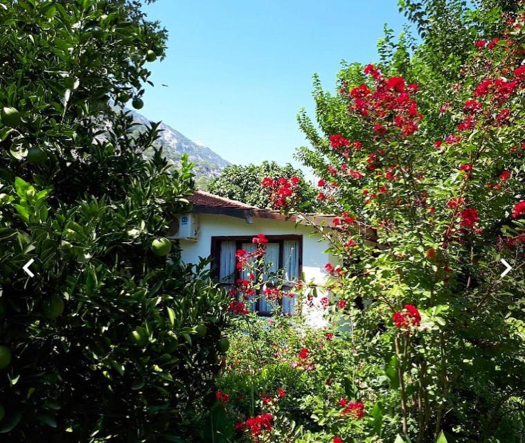 Dolunay Apart Hotel Çıralı Exterior foto